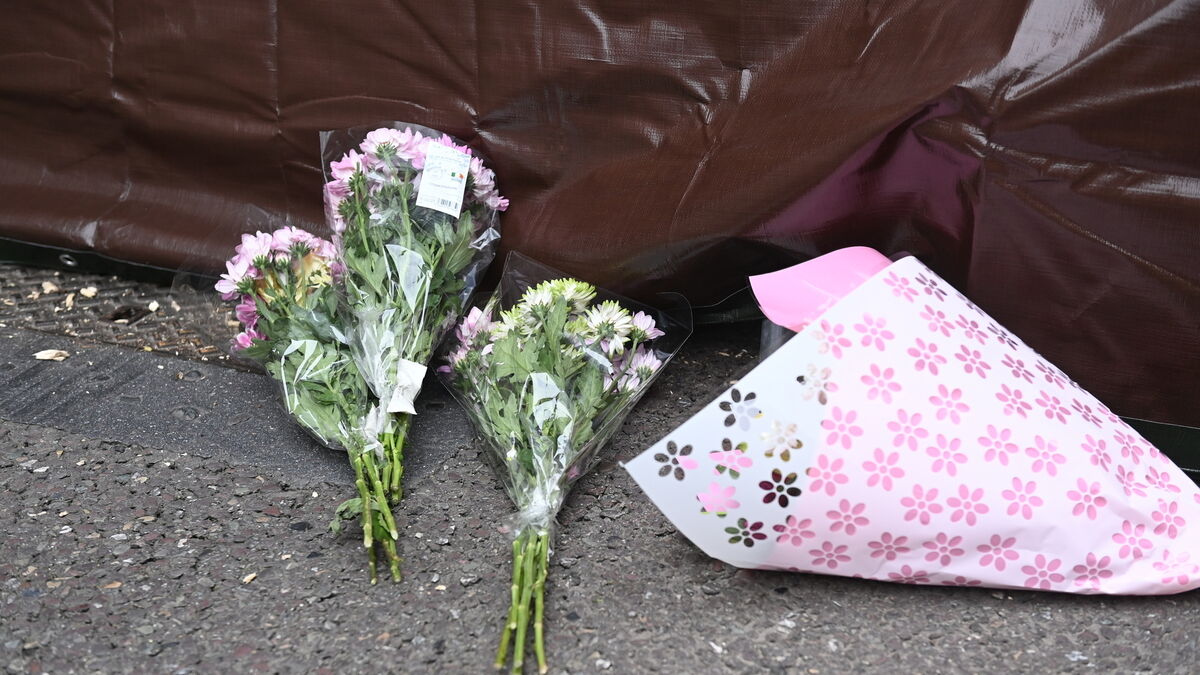 Tina Satchwell: Locals speak as remains found in Youghal home - Vimarsana News