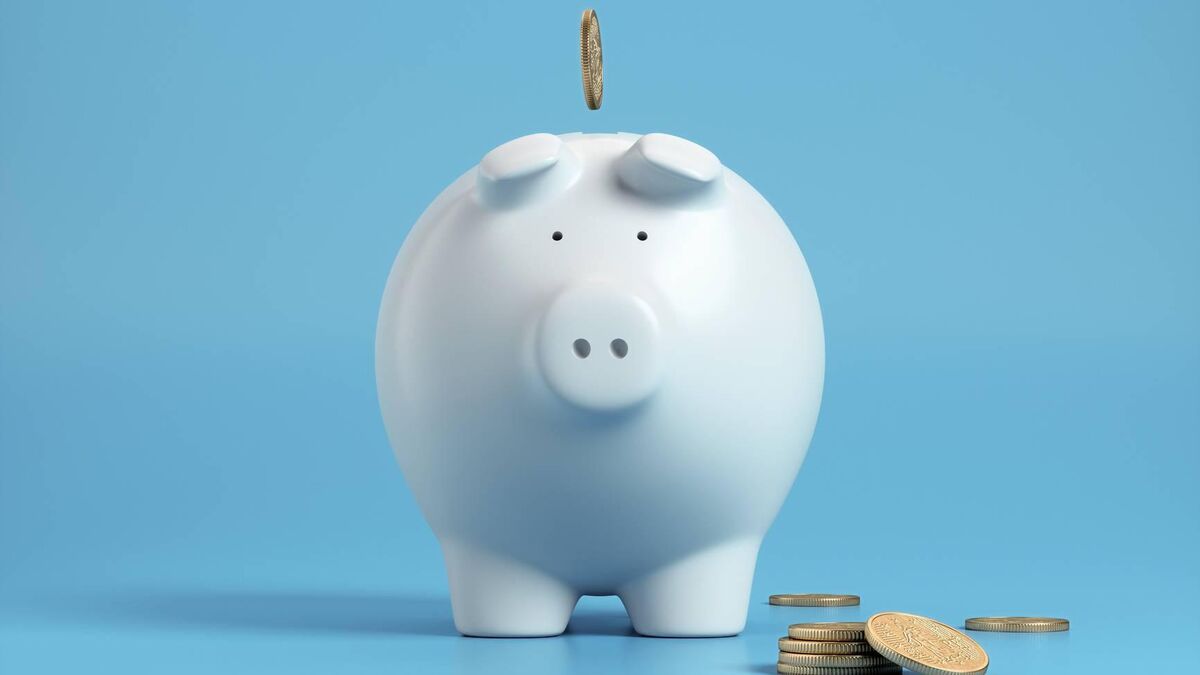 Beat budget blues: 40 ways to save money this winter — and ten ways to make more - Vimarsana News