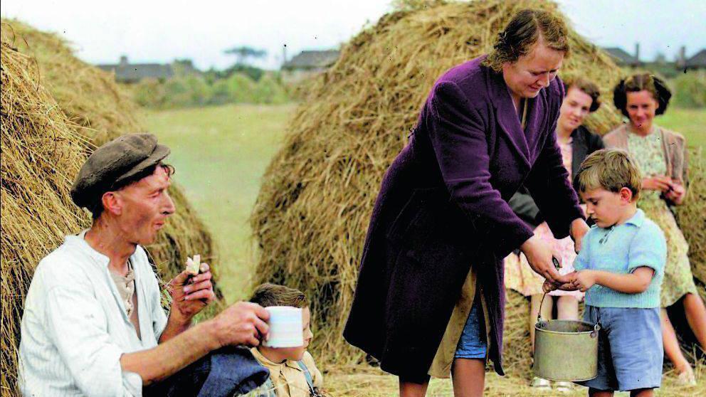 Book cover sparks happy memories for Cork man featured as child in old picture 