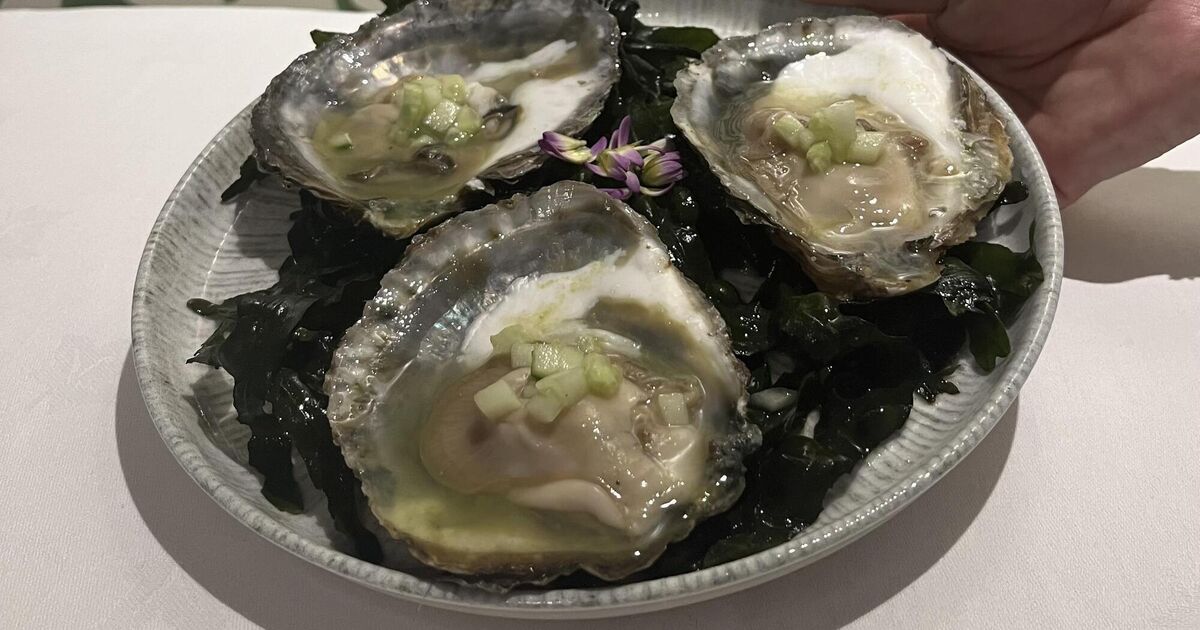 Darina Allen Recipes to make the most of the native Irish oyster