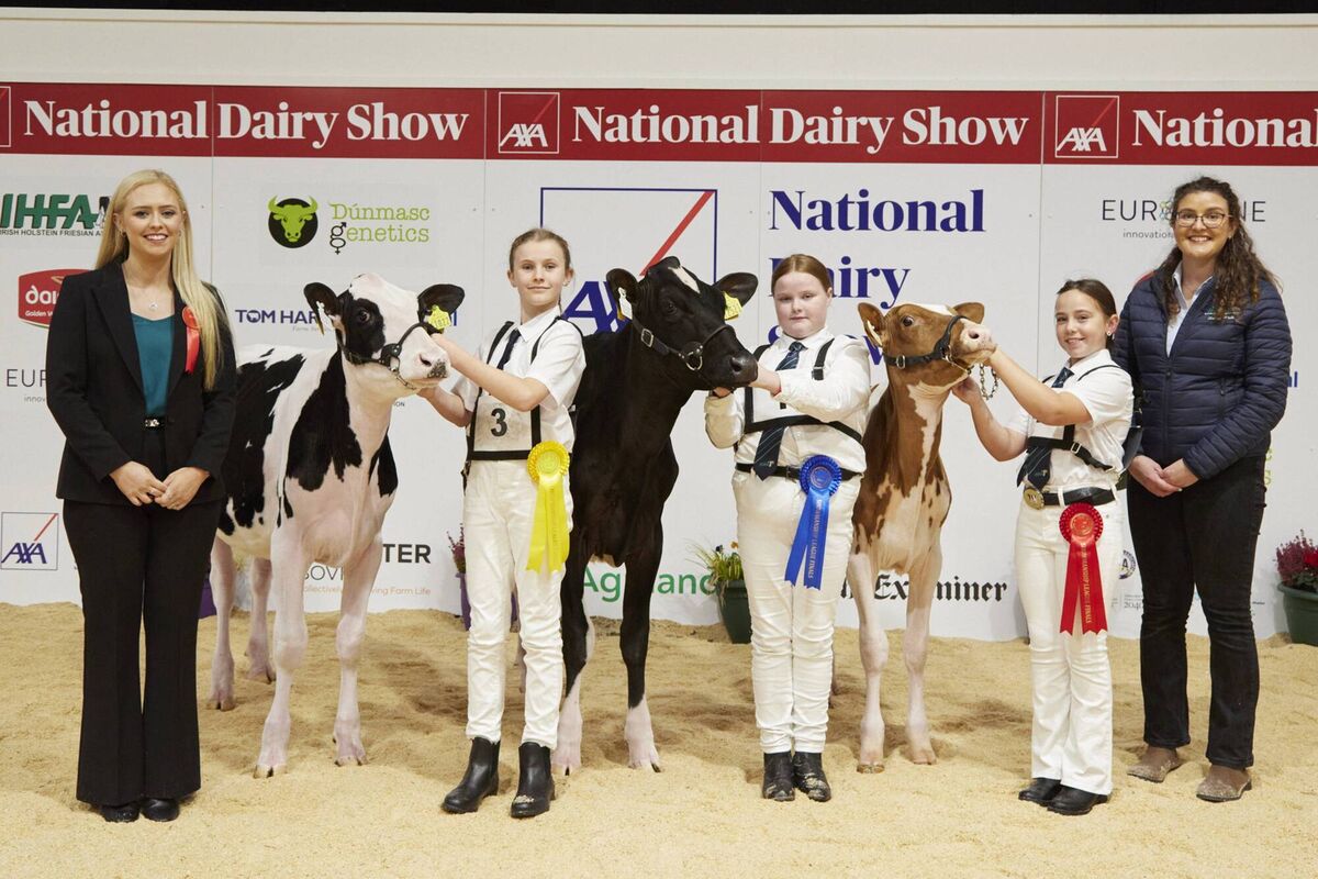 YMA Showmanship League Finals, Class A Handler aged 12 yrs and under on 1st Jan ‘23 exhibiting a Holstein or Jersey Calf – Pictured are: Judge, Alison Lawrie, , Andrea Deane 3rd, Georgina Hynes 2nd, Eva Hickey 1st, with Rachel White, IHFA on behalf of Sponsor FBD. Photo: Maria Kelly