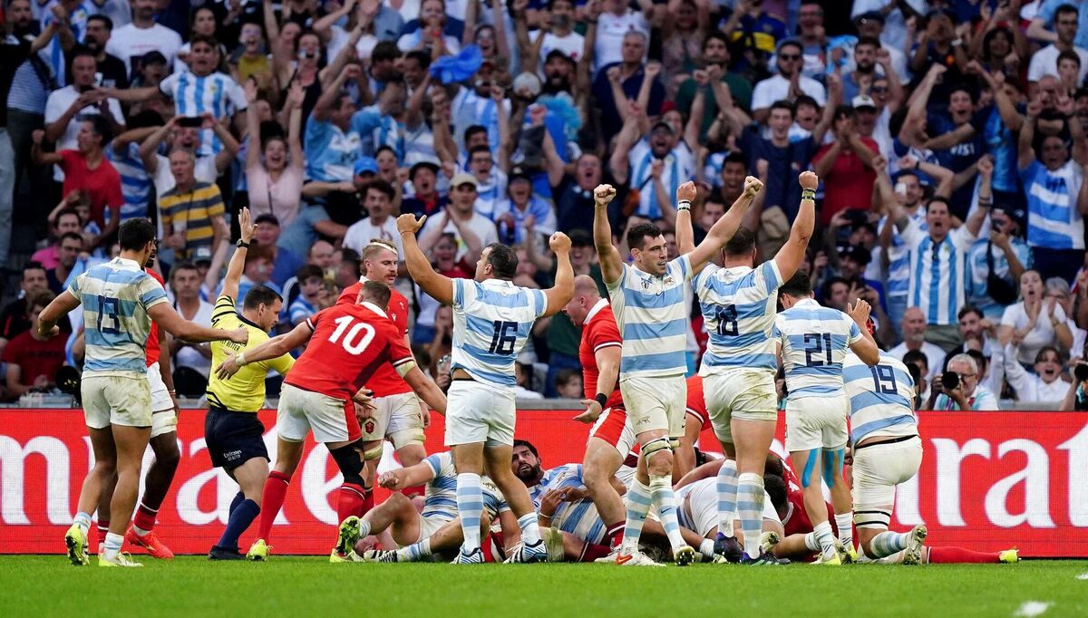 PUMA POWER: Argentina's players celebrate as Joel Sclavi is ruled to have crossed over the line for a try. 