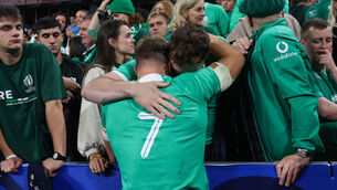 <p>END OF THE ROAD: Ireland’s Josh van der Flier with his brother Johann after the game </p>