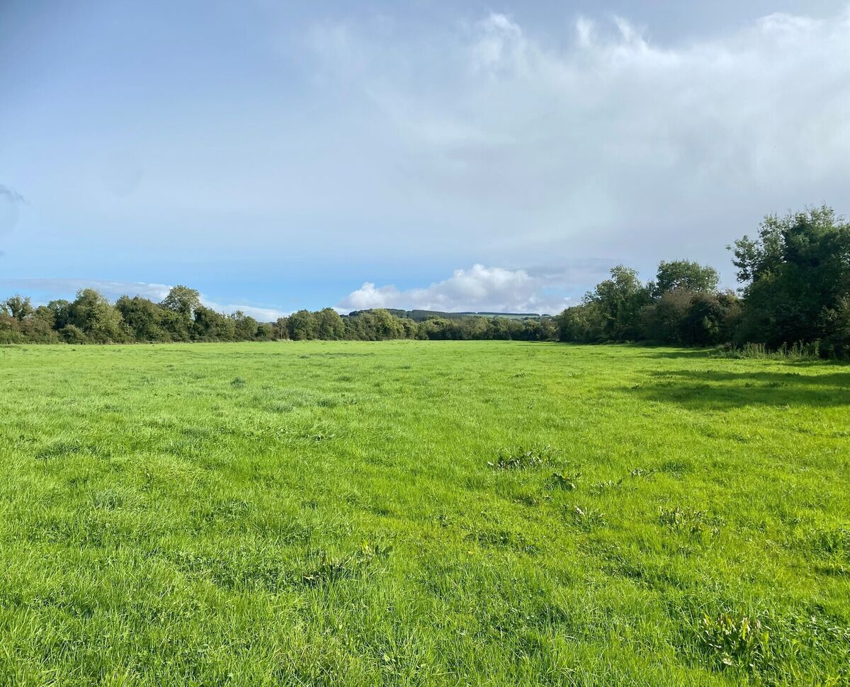 The compact holding is in grass at the moment but it would lend itself to a wide range of purposes, according to the selling agent. 