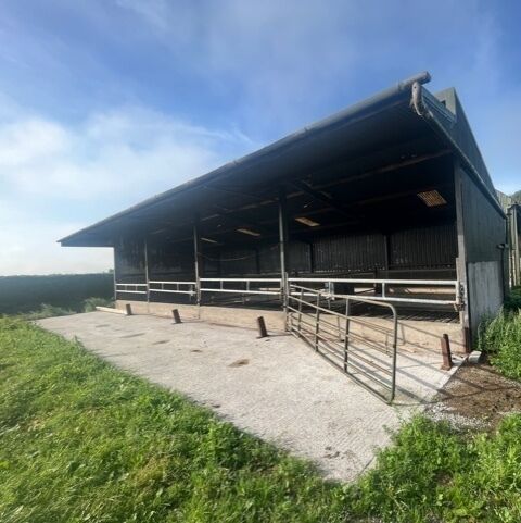 €14k/acre auction guide for 88-acre farm in South Tipperary