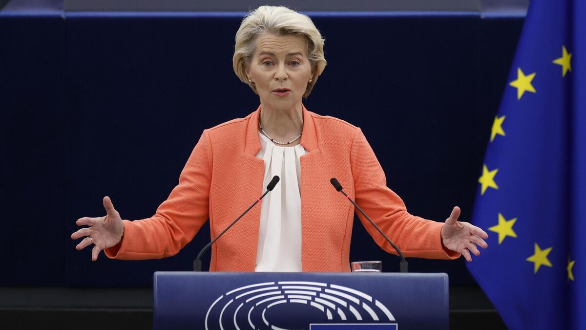 Elaine Loughlin: President Higgins was right to call out Ursula von der Leyen on Israel - Vimarsana News