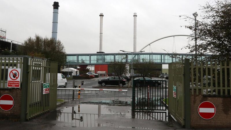 Nestlé posts growth in infant formula sales despite decision to shut Limerick plant