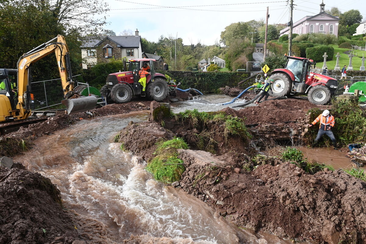 Picture: Larry Cummins Picture: Larry Cummins