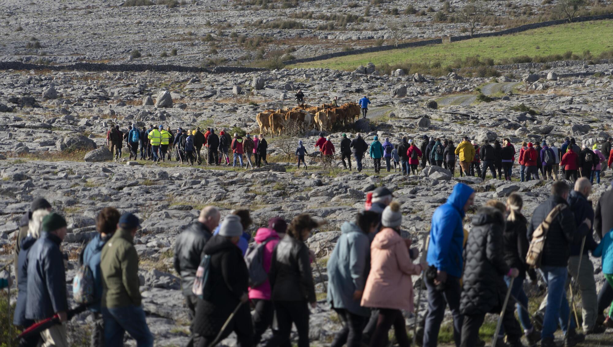 The Menu: The Burren's Winterage festival is a special time indeed
