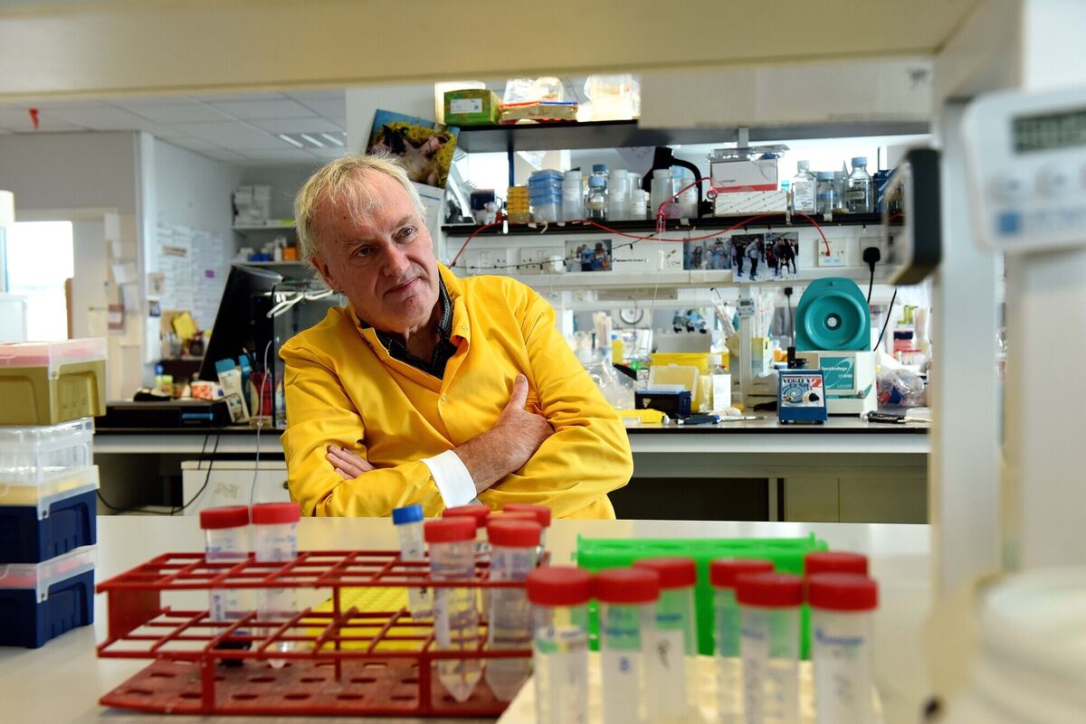  Prof. Luke O'Neill in his office in Trinity College Dublin. Photograph: Moya Nolan