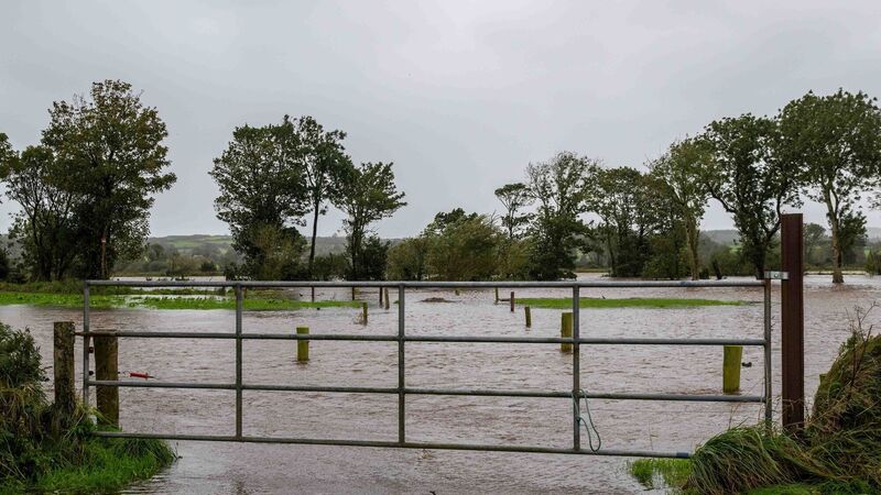 A challenging year continues to throw up more curveballs for farmers A challenging year continues to throw up more curveballs for farmers