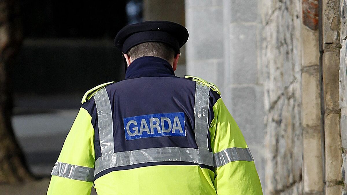 50% reduction in garda backlog of online case material - Vimarsana News