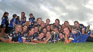 <p>SILVER LINING: Sarsfields celebrate their win at Castle Road.</p>