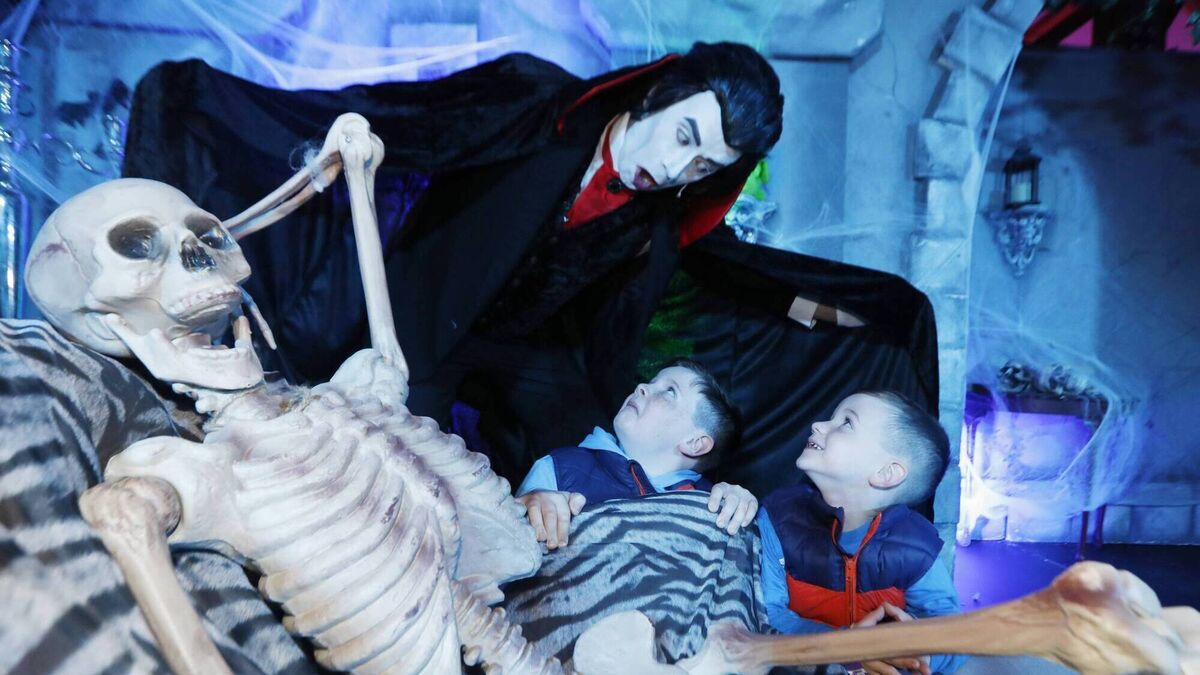 11 spooky Halloween activities for the whole family to enjoy - Vimarsana News