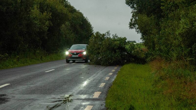Farm legal advice: Am I responsible for fallen trees from my farm?