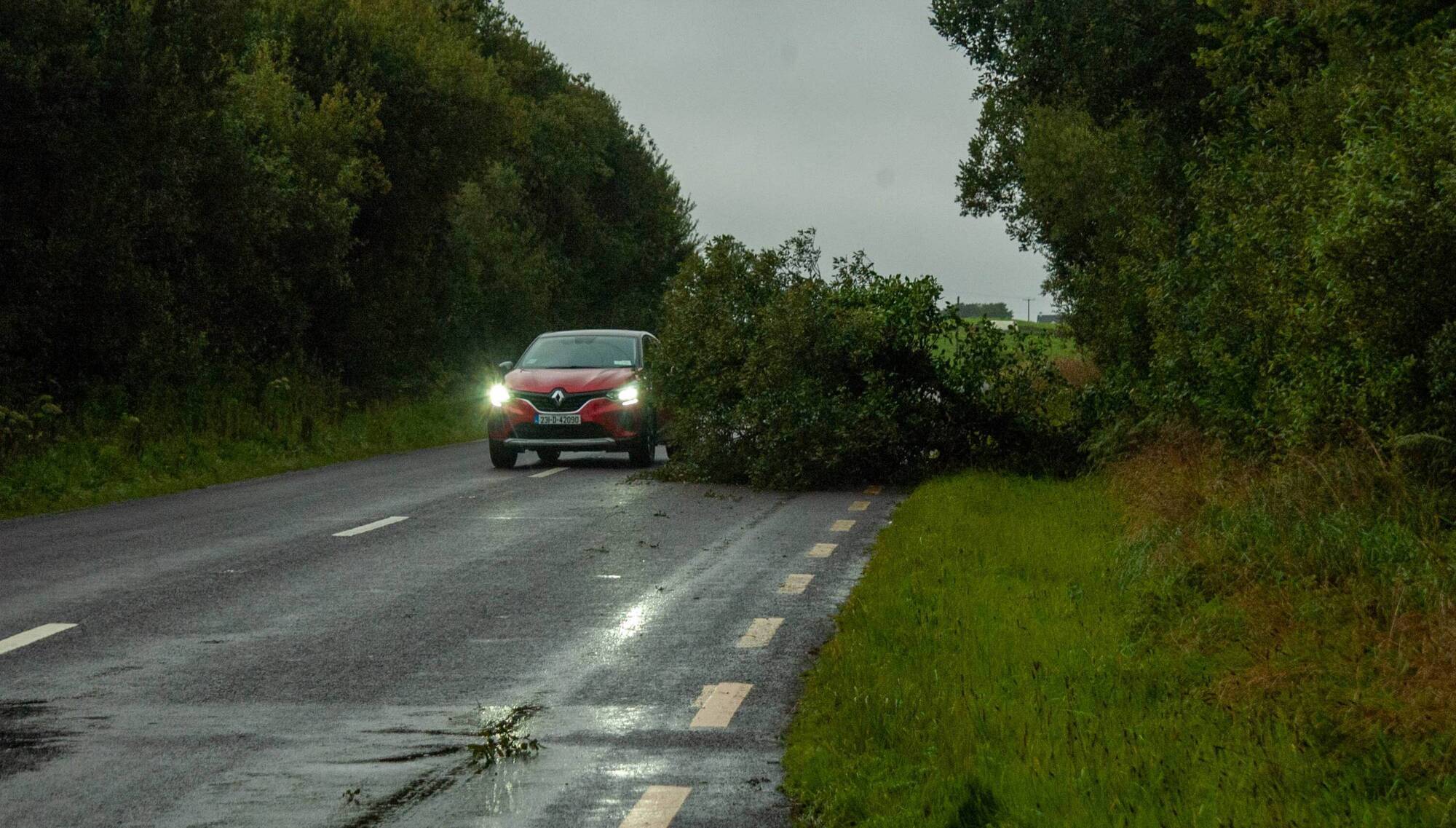 The owner of the land that the fallen tree has come from will be held liable for any accidents. File picture: Evan Doak