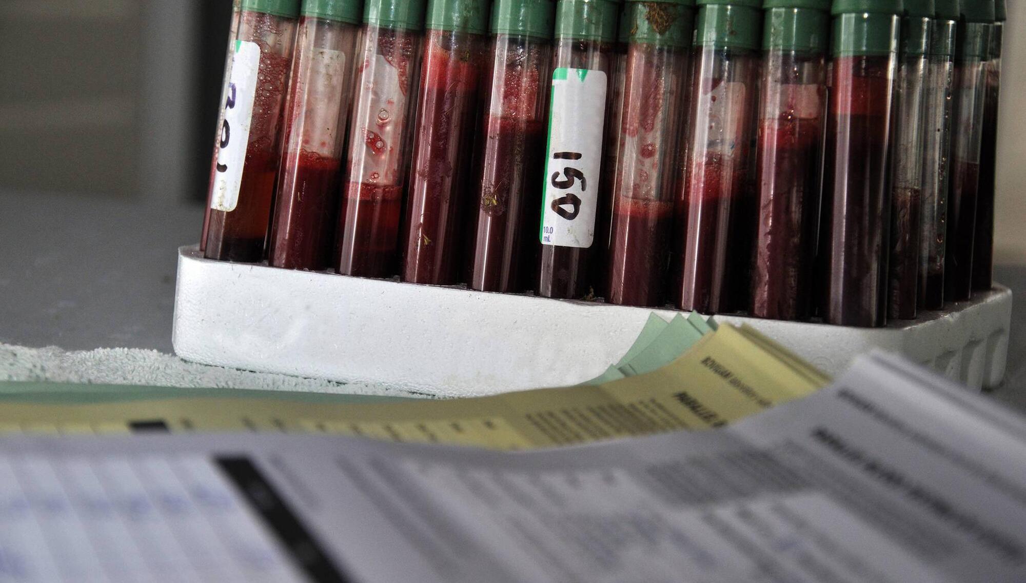 New online auction facility for farmers locked up with TB 