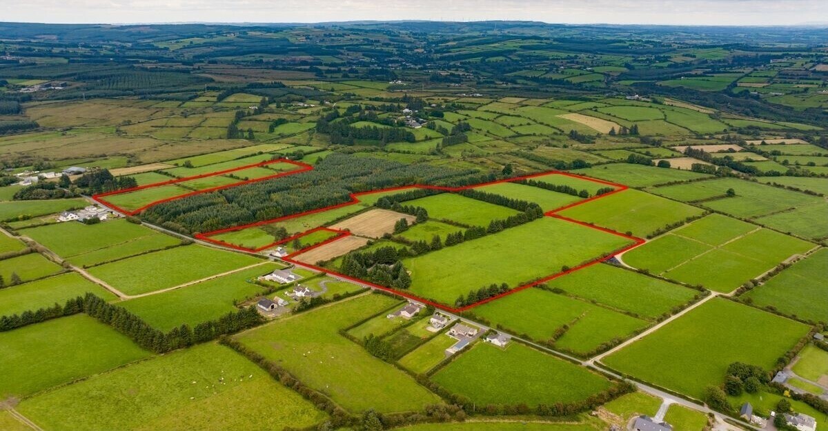 The property is in two lots, separated by a small piece of forestry, but is being sold as one entire holding.