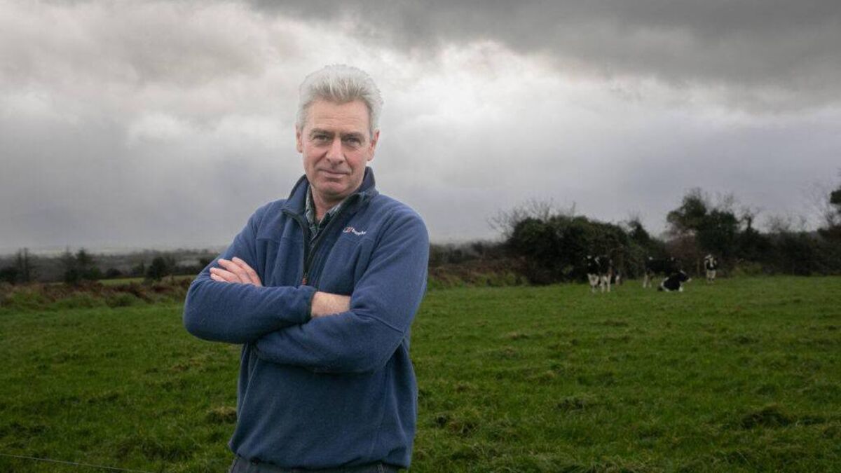 Rural Ireland has been "running on milk" for centuries - Vimarsana News