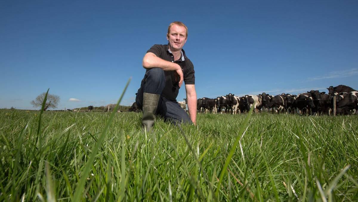 Denis Drennan pictured on his farm in Madoxtown,  Co Kilkenny. 