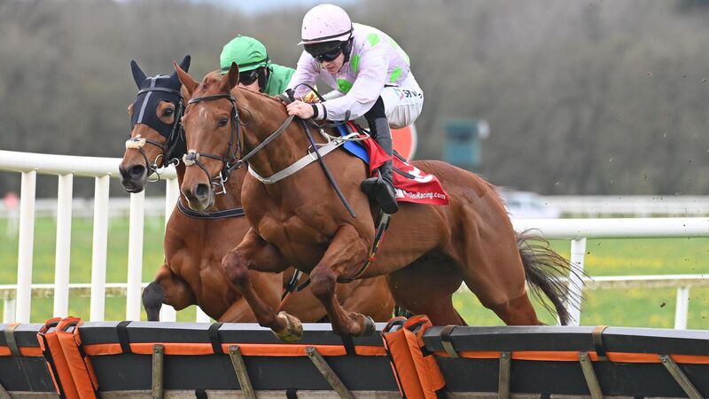 Mullins' horse-by-horse guide: 'Mister Policeman has huge ability'