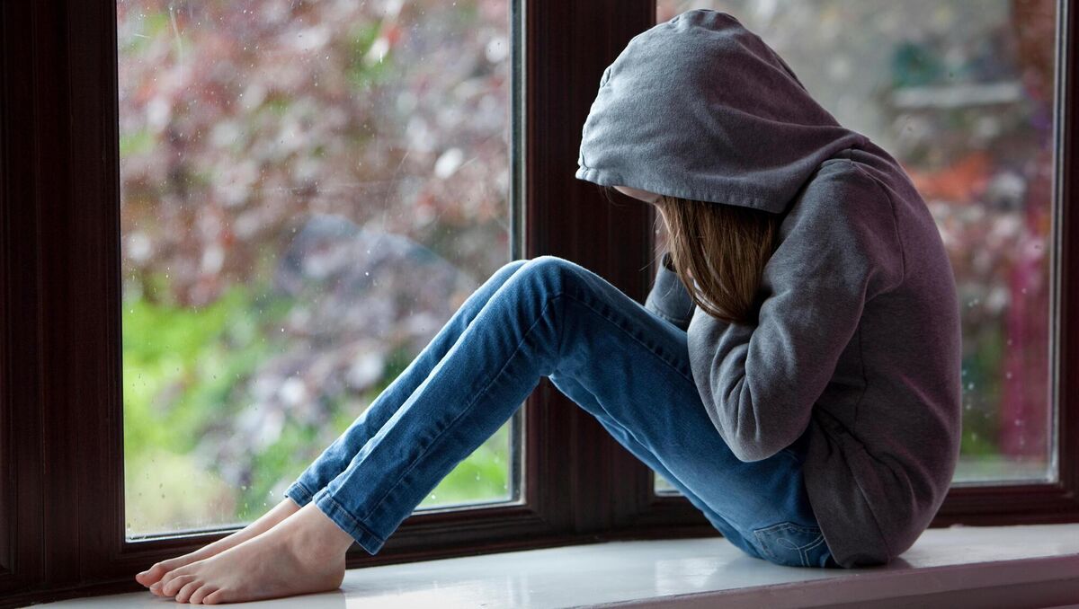 'Foster carers are going down in number and children in care are going up and the community spirt is in danger of collapsing.' File pictrue