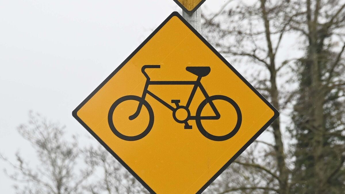 Transport minister admits roads are not safe enough for children to walk or cycle to school - Vimarsana News