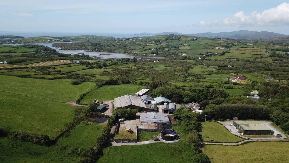 The Ferguson family has brought its unique cheese and salmon products to a global audience, with all products created at the family farm near Schull, West Cork. The Ferguson family has brought its unique cheese and salmon products to a global audience, with all products created at the family farm near Schull, West Cork.