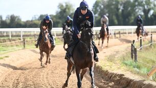 <p> HUGE THREAT: Gerri Colombe and Mark Foley pictured on the gallops.Pic credit: Healy Racing</p>