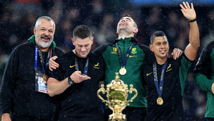 <p>ME AND MR JONES: South Africa assistant coach Felix Jones (centre right) celebrates after the game. INPHO/Dan Sheridan</p>