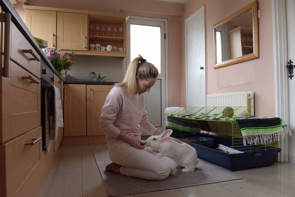 Gemma Lanigan in her kitchen with Alice the rabbit. Picture: Moya Nolan Gemma Lanigan in her kitchen with Alice the rabbit. Picture: Moya Nolan