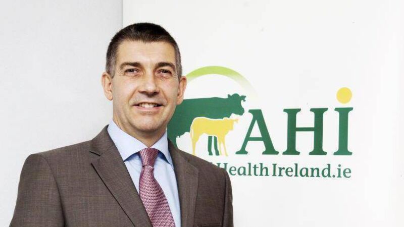 Animal Health Ireland chief executive to step down in 2024