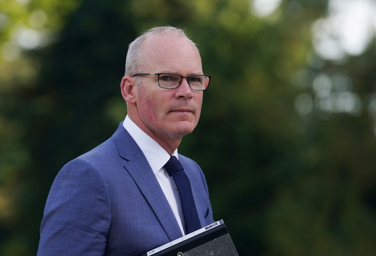 Minister for Enterprise, Trade and Employment Simon Coveney. Picture: Brian Lawless