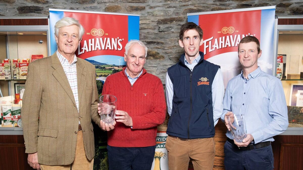 Munster farms named Flahavan's oat growers of the year - Vimarsana News