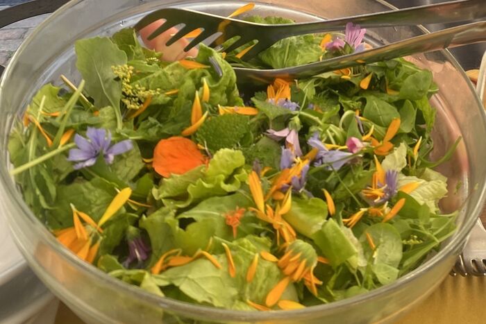 Salad of Foraged Greens