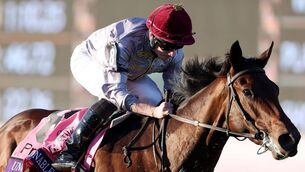 <p>IRISH TRIUMPH: Unquestionable wins the Prevagen Breeders' Cup Juvenile Turf in the hands of Ryan Moore.	 Picture: Sean M. Haffey/Getty Images</p>