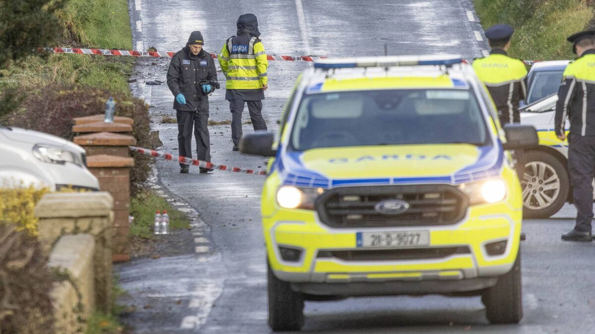 Four lose their lives in three separate collisions as road death figures continue to soar - Vimarsana News