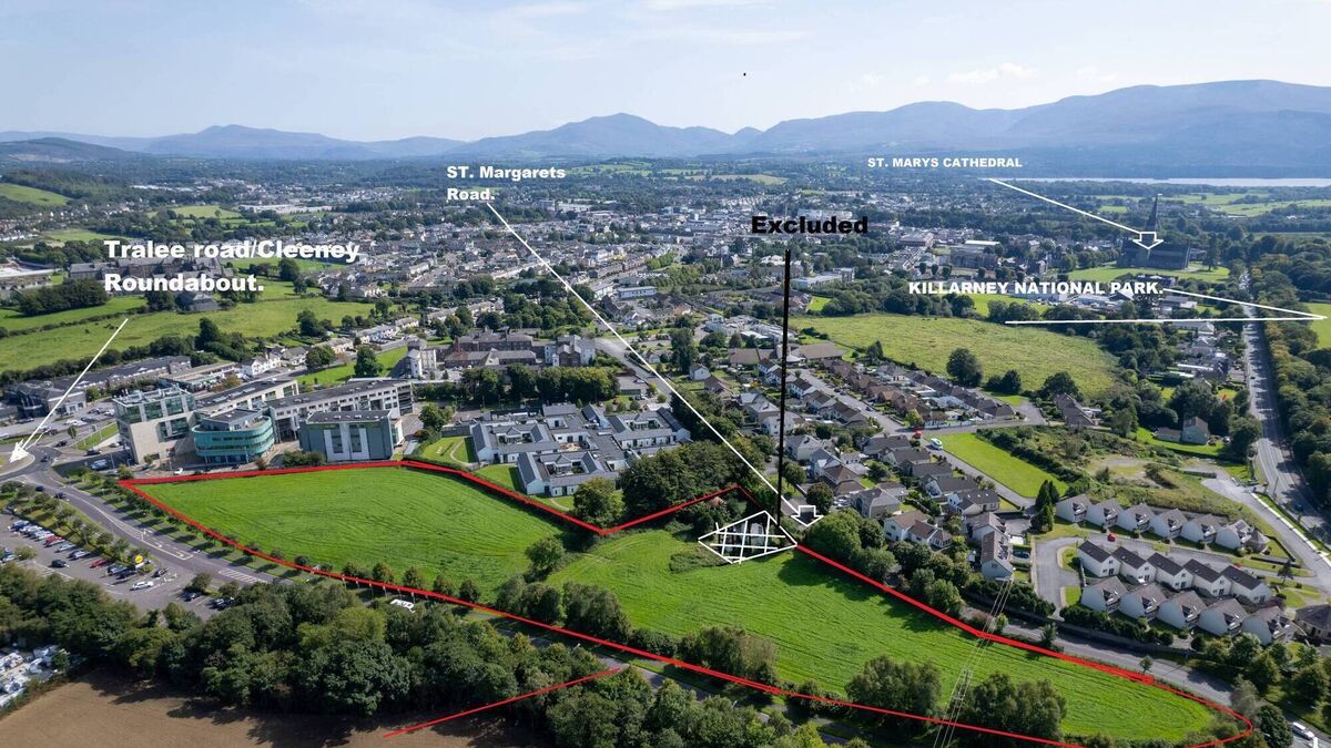Prime slice of Killarney residential land up for grabs for €2.5m - Vimarsana News