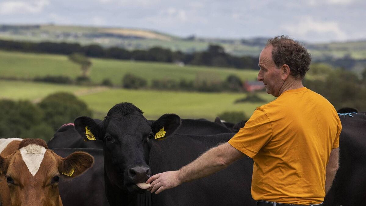 Timoleague farmer wins Carbery Milk Quality and Sustainability Awards - Vimarsana News
