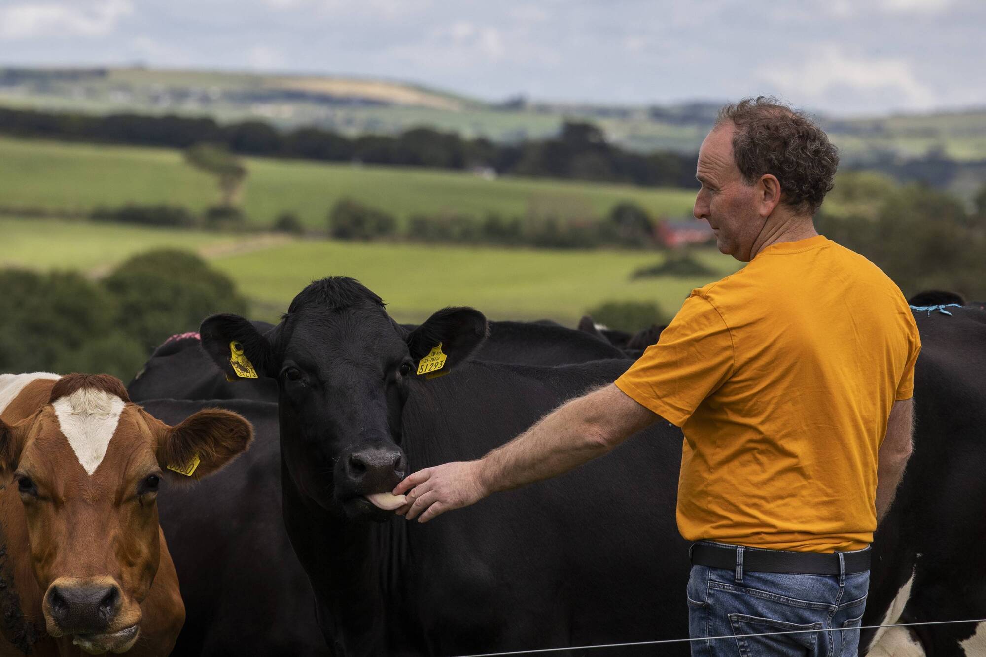 Timoleague farmer wins Carbery Milk Quality and Sustainability Awards 