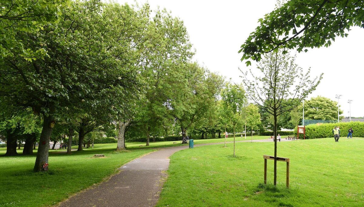 Ballinlough Park in Cork City. The evidence shows that trees can remove more than half (60%) of particulate matter in the air, thereby reducing risk of respiratory illness and other health problems like cardiovascular disease that are sensitive to poor air quality. Picture: Larry Cummins