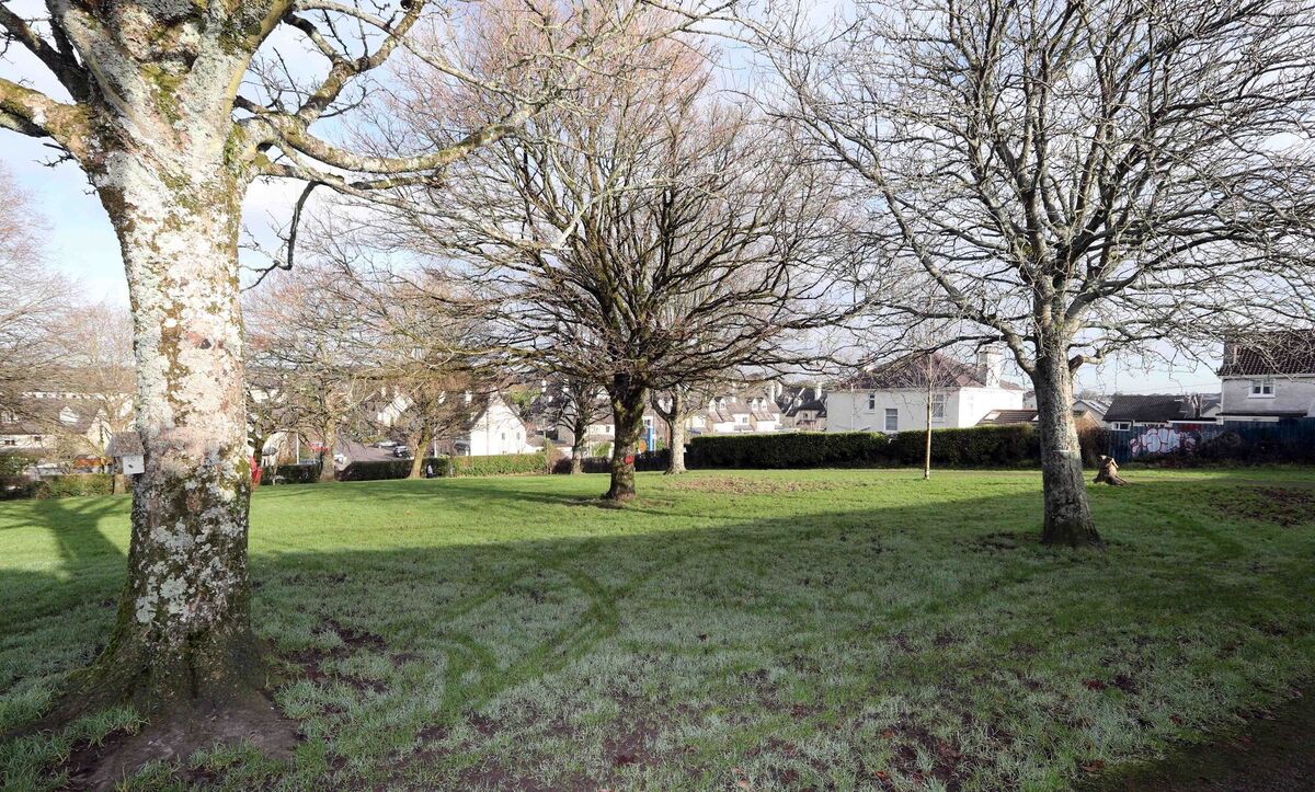 Ballinlough Park in Cork City. A study published in the Journal of Physical Activity and Health (2015) found that neighbourhoods with higher levels of green space were more likely to engage in physical activity with green spaces providing opportunities for walking, jogging and other forms of exercise. Picture: Jim Coughlan