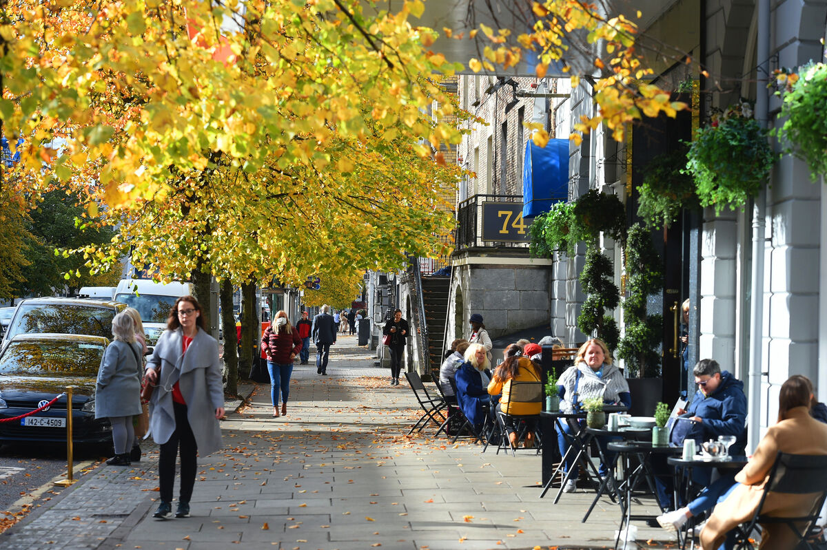 The South Mall in Cork City. A good tree canopy also reduces city centre noise pollution. Picture: Larry Cummins
