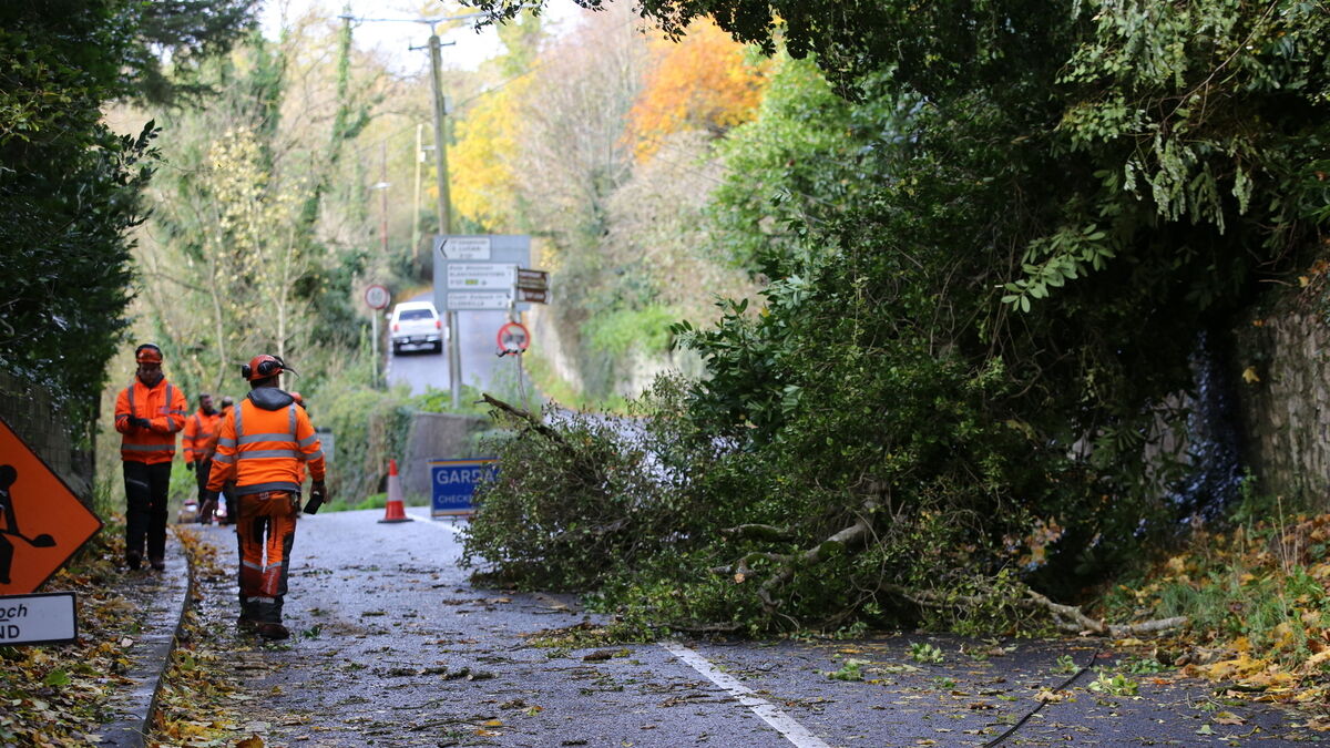 Live updates: Severe disruption as Storm Debi leaves more than 100,000 without power - Vimarsana News