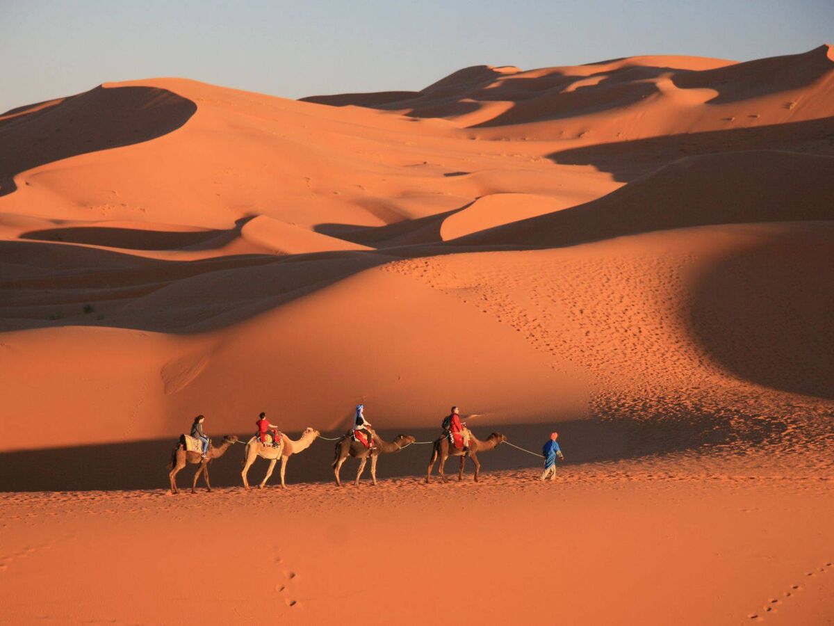 Camel trek in the Sahara Desert.