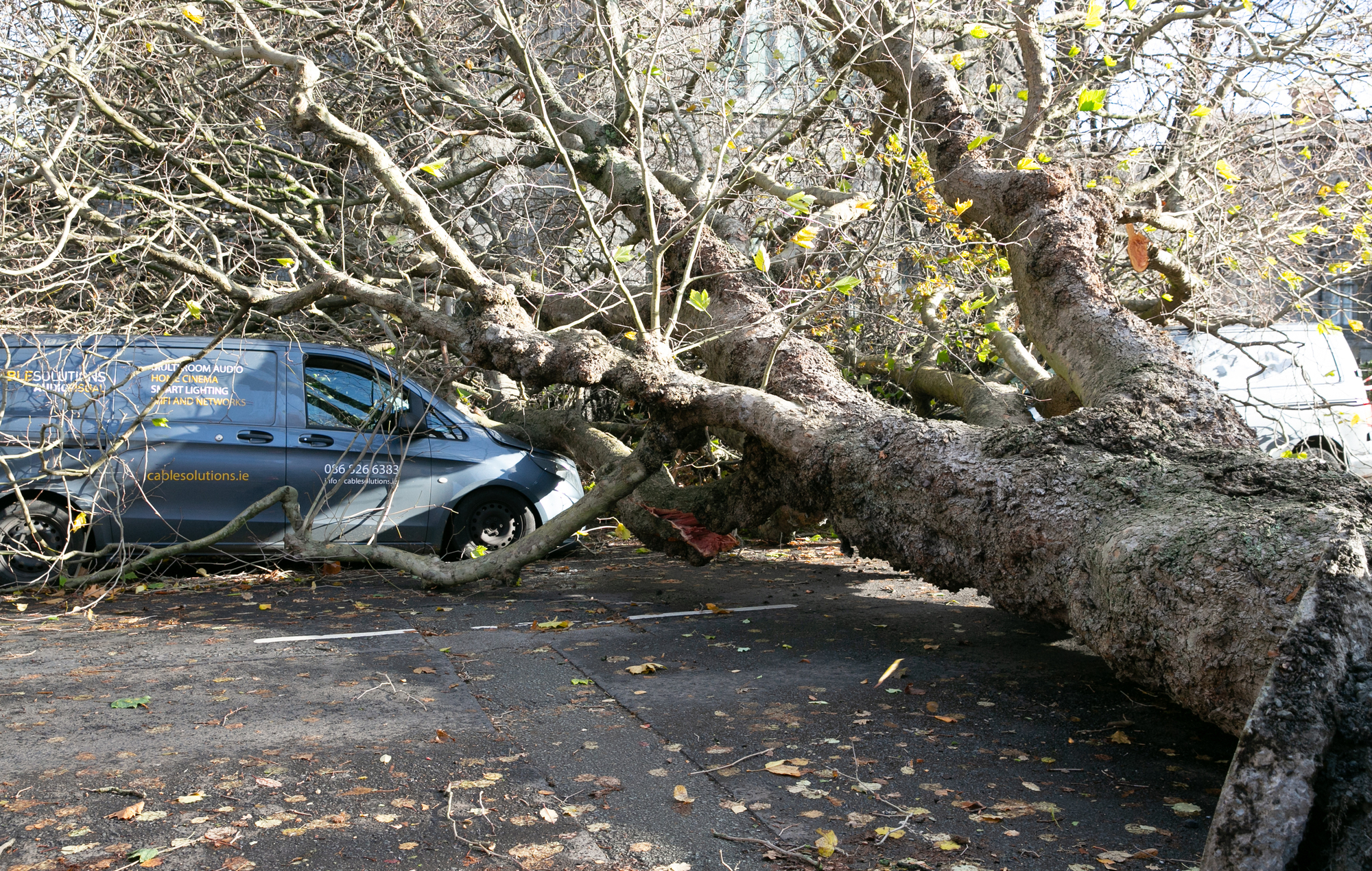 Thousands to be without power overnight after Storm Debi causes chaos