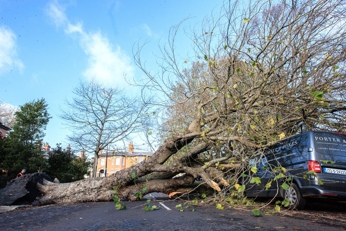 On Monday, Taoiseach Leo Varadkar said he is sorry to hear about the impact of Storm Debi on parts of Ireland. Picture: INPHO/Tom Maher
