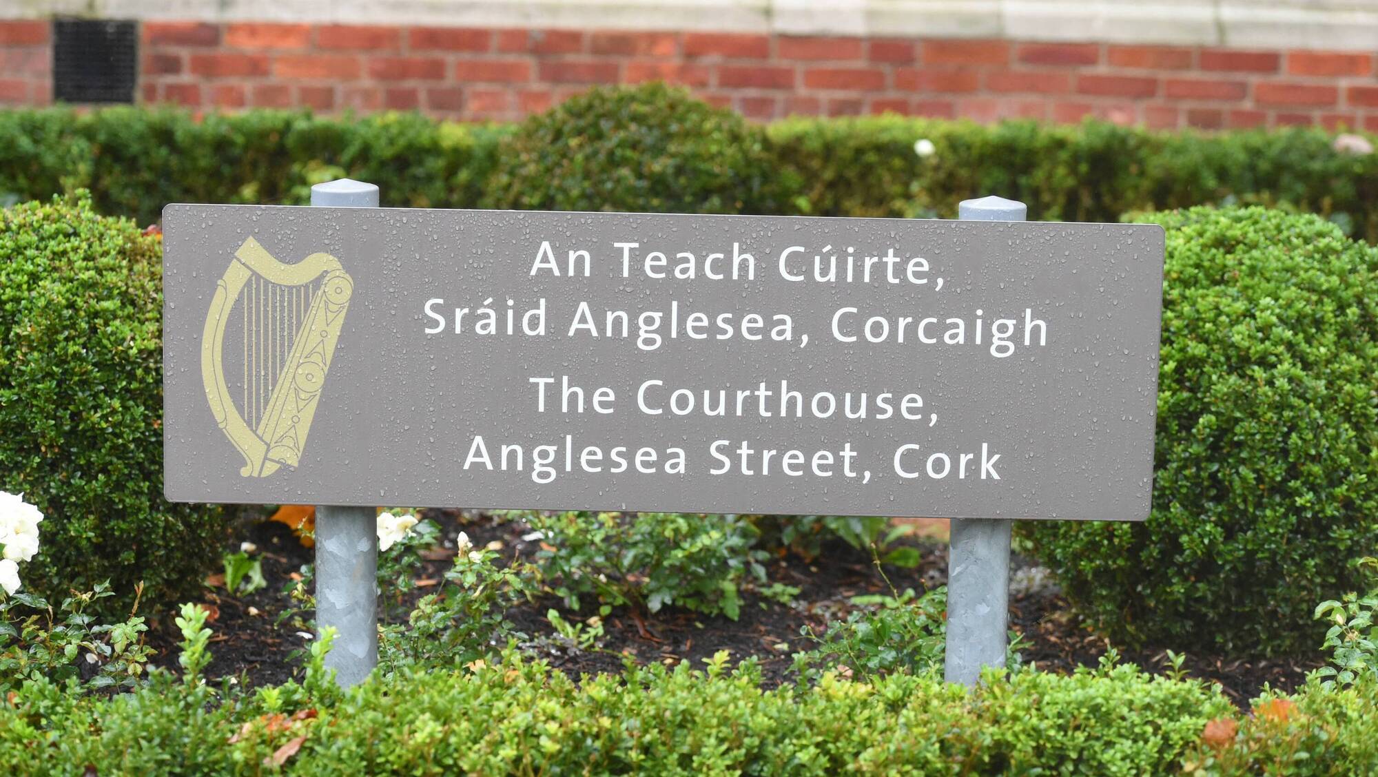 Judge imposed a sentence of six years in prison with the final year suspended. Picture: Larry Cummins 