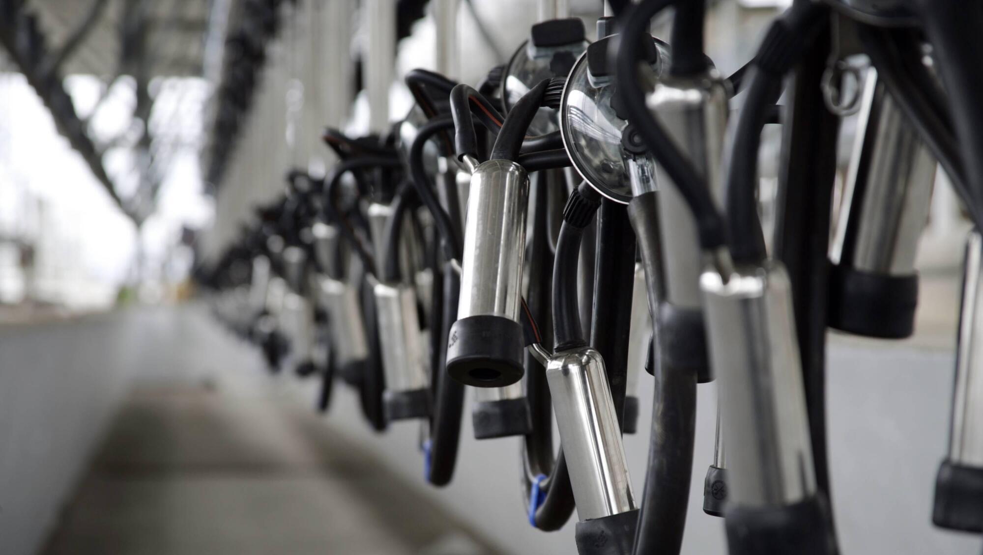 Processors hold October milk prices