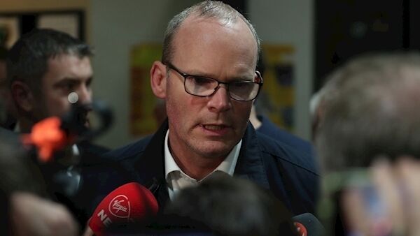 Simon Coveney speaks to the media during the General Election count at the Nemo Rangers GAA club in Cork. Pic: PA.